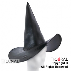 SOMBRERO BRUJA VINILO x 1